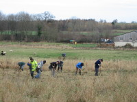 Tree Planting Nov 2007.JPG